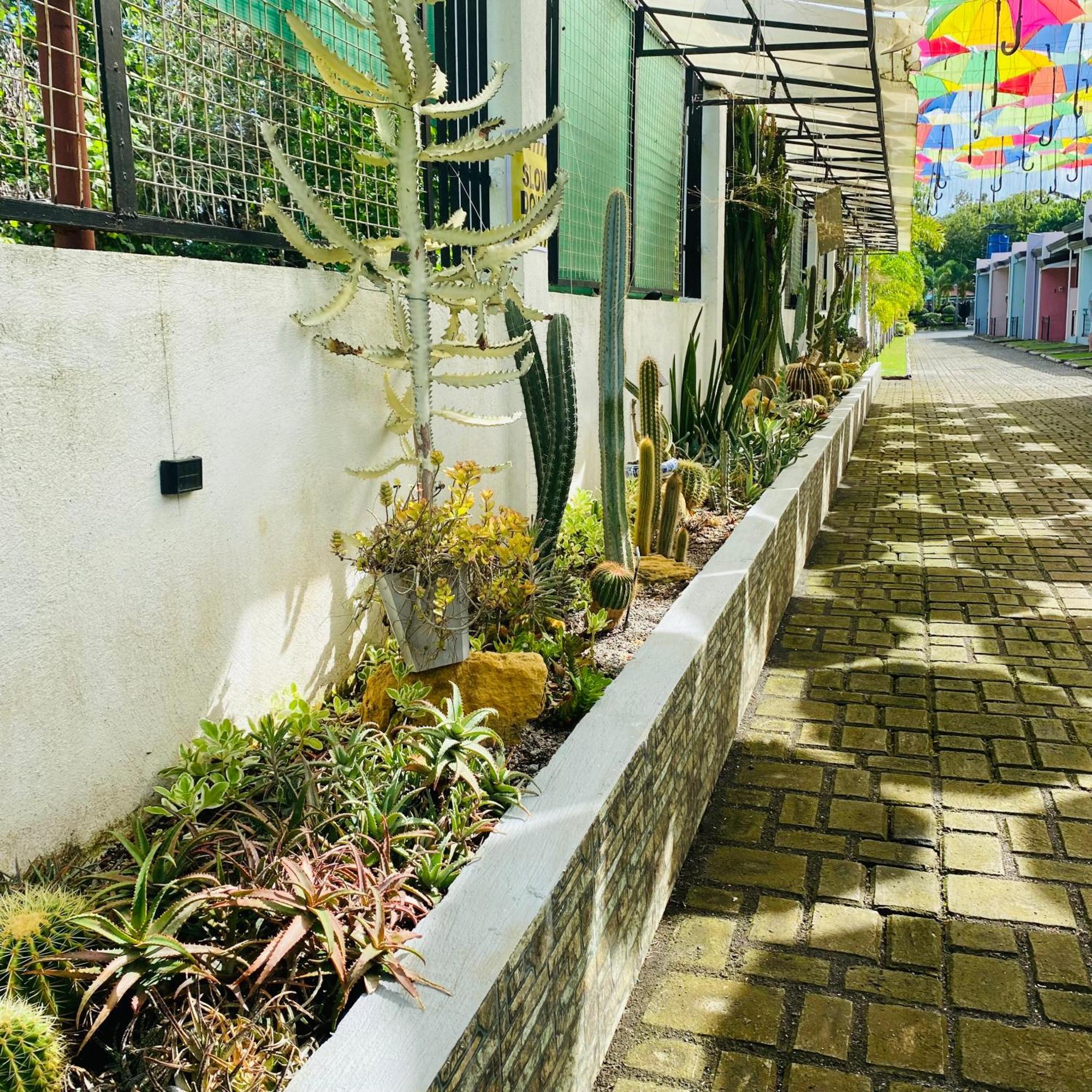 Sunshine Stay Panglao City Exterior foto